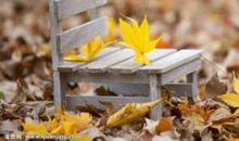 青春夹在书页里