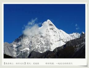 快乐的雪