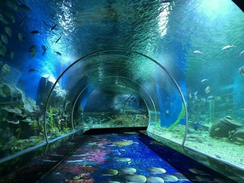 海立方海洋世界