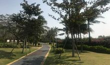 那抹最美的回忆