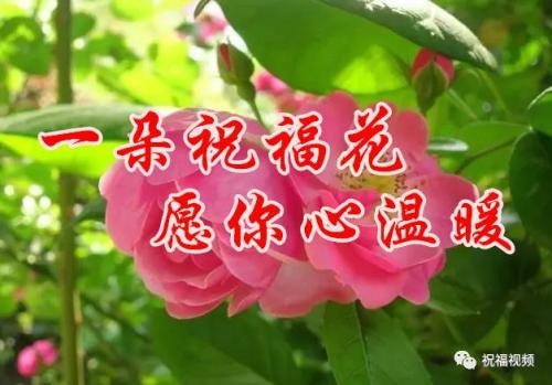 欢迎您2018年-我向您致以祝福