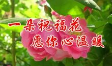 欢迎2018——我把祝福送给您