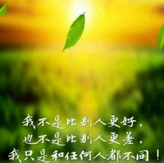 世界因我而美丽