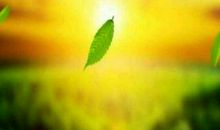 世界因我而美丽