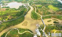 打造森林慈溪从我做起