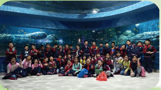 精彩的海立方之旅