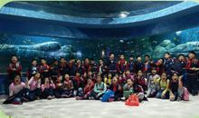 奇妙的海立方之旅