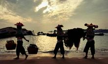 传承勤劳让我走得更远