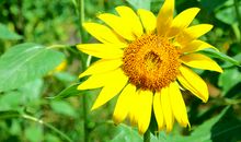 独立是一种力量