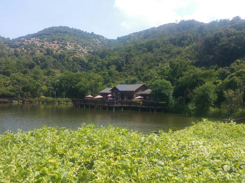 美丽的镜湖公园