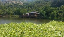 美丽的静湖公园