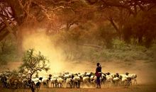 拥有的和不再拥有的