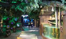 长沙海立方一日游