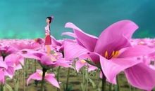 我努力读懂《马兰花》