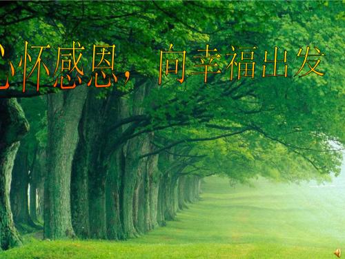 阳光普照