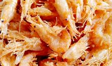 可爱的小河虾——阿月