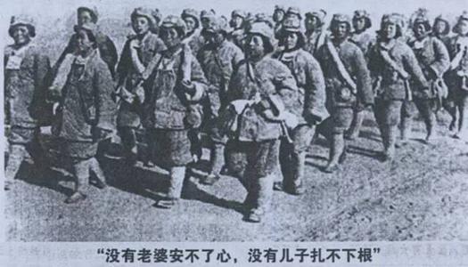 重读历史，今天遭受酷刑