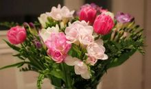 谢谢你，我的朋友