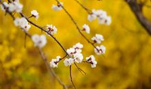 人生像向上生长的草