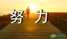 我努力读懂生与死