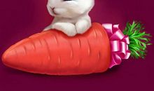 我喜欢可爱的小白兔