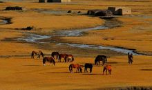 尘埃掩埋的珍珠