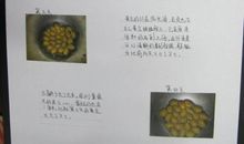 虾蟹大战观察日记