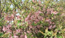 读书到底是为了什么