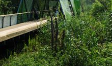 记忆里的小公园