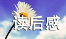 读《我可以打架吗？》有感