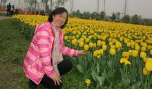 春风拂面百花开