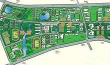 校园里的大发现