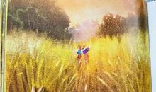 我相信这段友谊