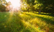 留住心底的那缕阳光