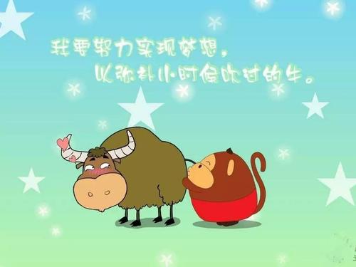 羡慕自己的命运