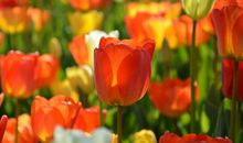 我努力读懂那回眸