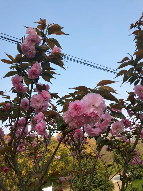 运行，飞沫