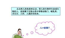 在叛逆中领悟人生真谛