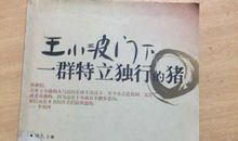 做一头特立独行的猪读后感