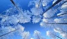 冬天里的一件事