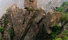 国家森林公园的奇石