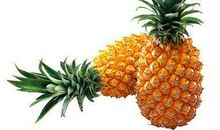 我最喜欢的水果菠萝