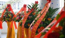 带回满怀的鼓励