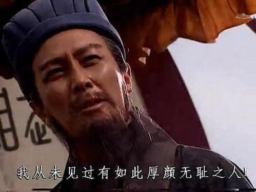 我遇见了诸葛