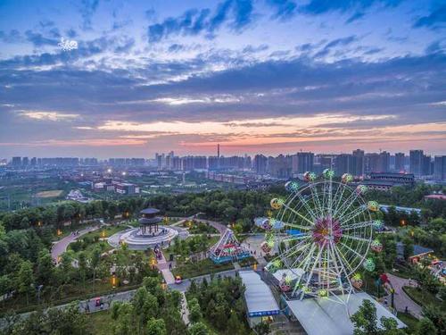 晚上森林公园