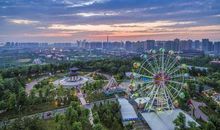 森林公园的晚上