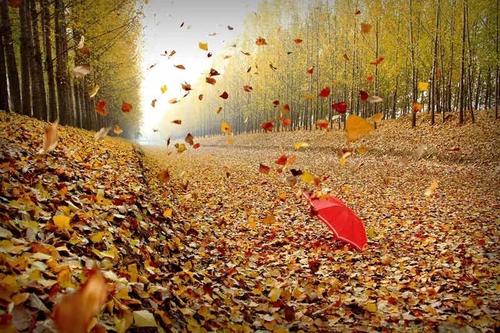 那把伞在我眼前