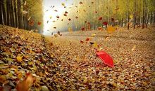 那把伞进入我的视线