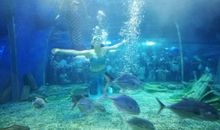 游海立方海洋公园