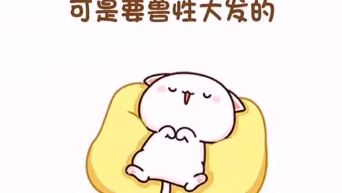 明天我们要吃什么？